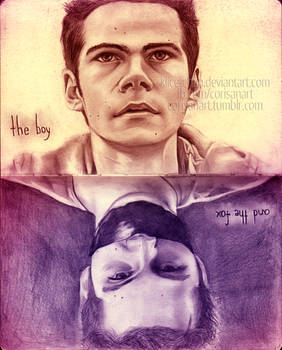 Stiles: The Boy And The Fox