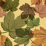 seamless_leaves_texture2