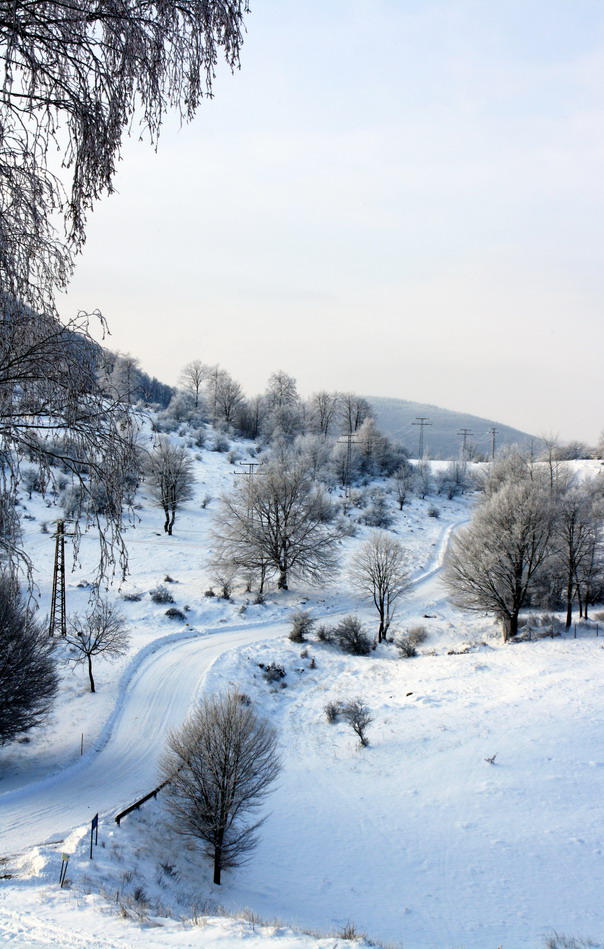 winter scene