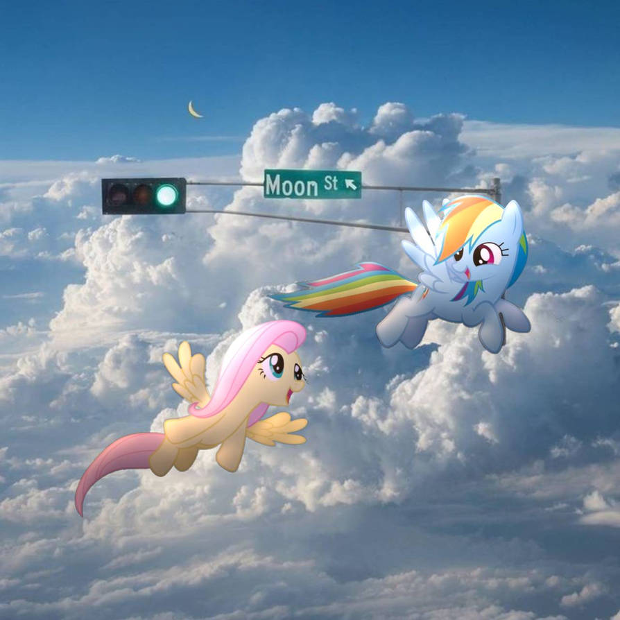 Flutter Dash Flying Tutorial Rainbow Dash and Fluttershy flying in the sky by felphix on DeviantArt