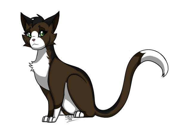 Chipmunk Shadow Chipmunkpaw of ShadowClan by Tiabirb on DeviantArt
