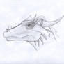 Dragon head profile