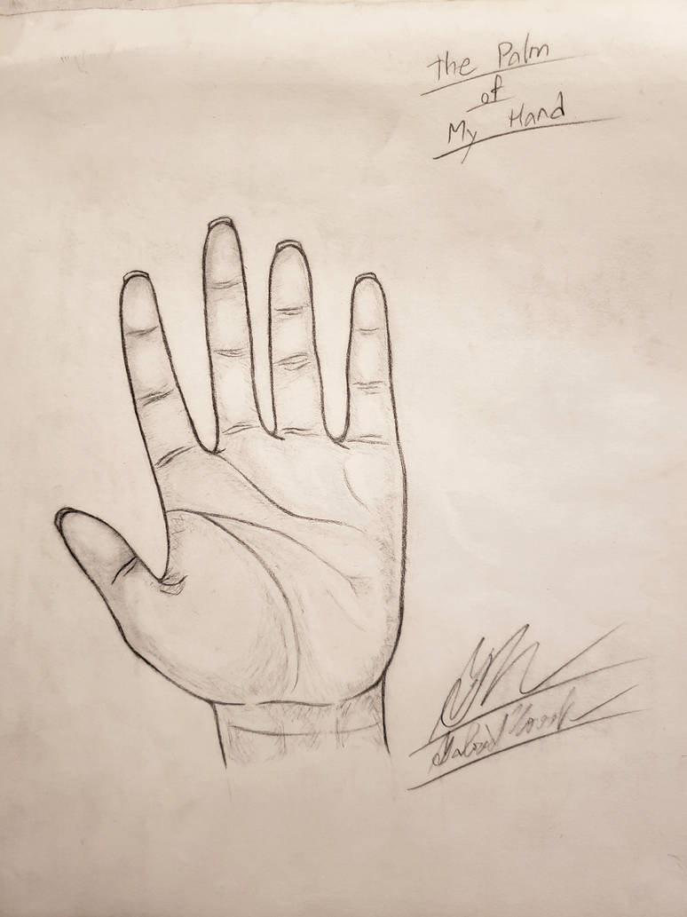 Hand Palm Practice Art 101 Project 2 21 By Gabrielnovakstudios On Deviantart Hand Palm Practice Art 101 Project 2 21 By Gabrielnovakstudios On Deviantart
