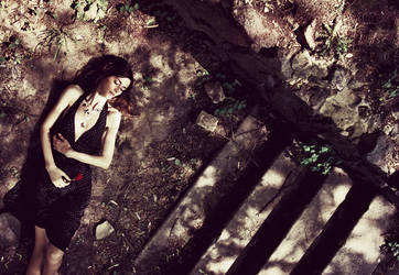 last rose by psychiatrique