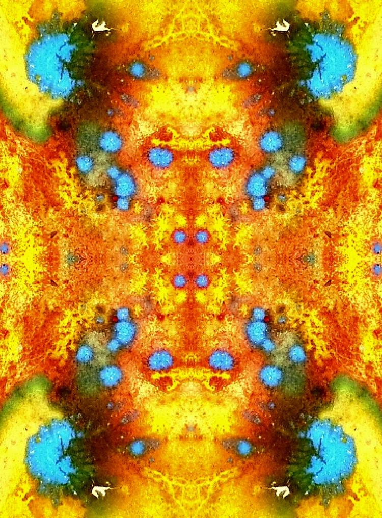 Nature In Patterns - #180 by NatureInPatterns on DeviantArt