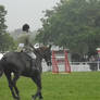 Suffolk Show 39