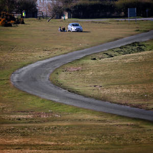 Bend in the road, the Curragh, Kildare, Ireland