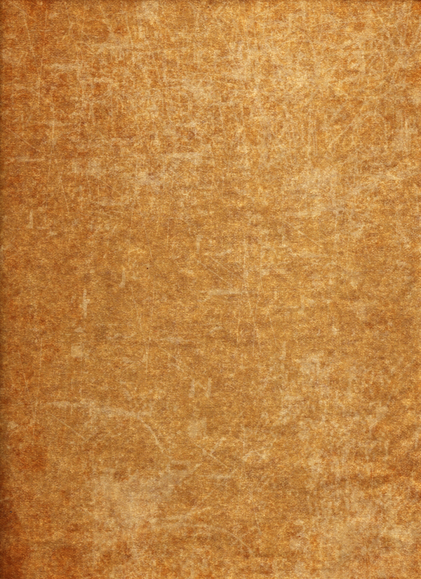 Parchment Paper Texture by sinnedaria on DeviantArt