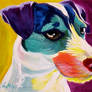 Jack Russell Rainbow