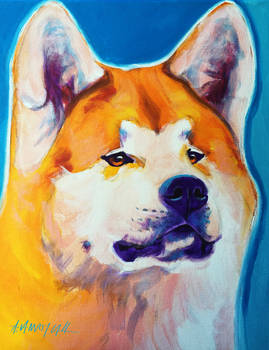 Apricot Akita