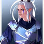 Rayla in Dragonguard Armor