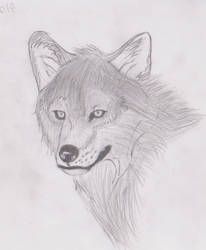 wolf realism 1