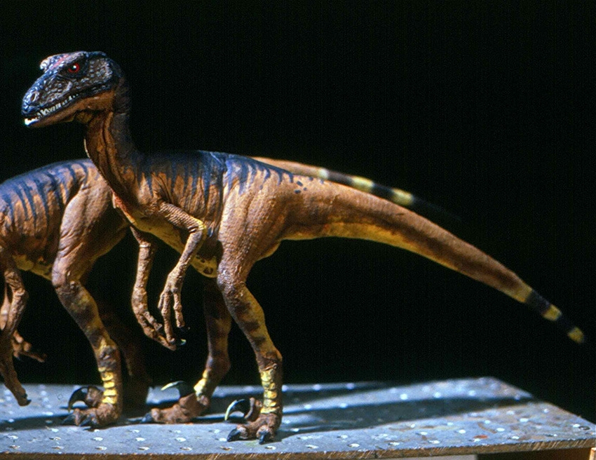 Prehistoric Beast of the Week: Deinonychus: Beast of the Week