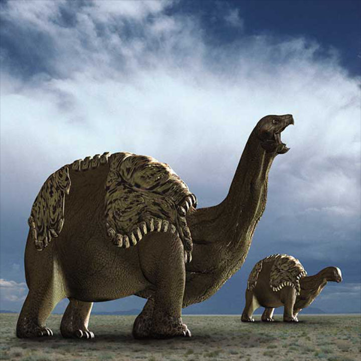 Toril Raton The Future is Wild: Toraton by DracoTyrannus on DeviantArt