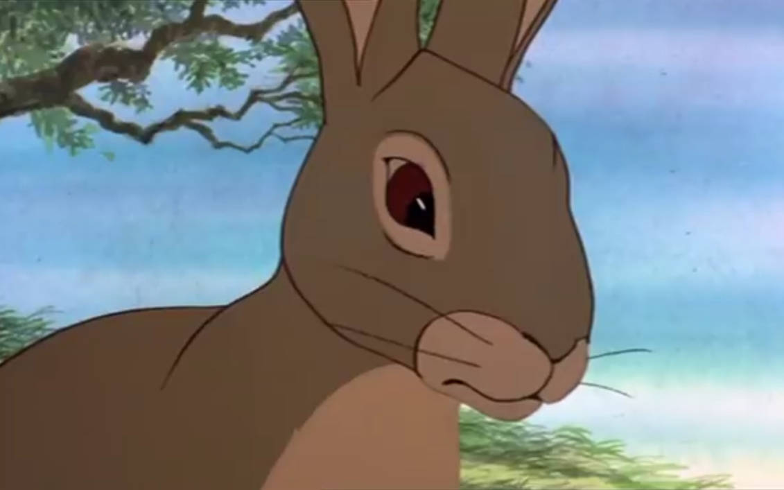 Hazel #3 by DracoTyrannus on DeviantArt