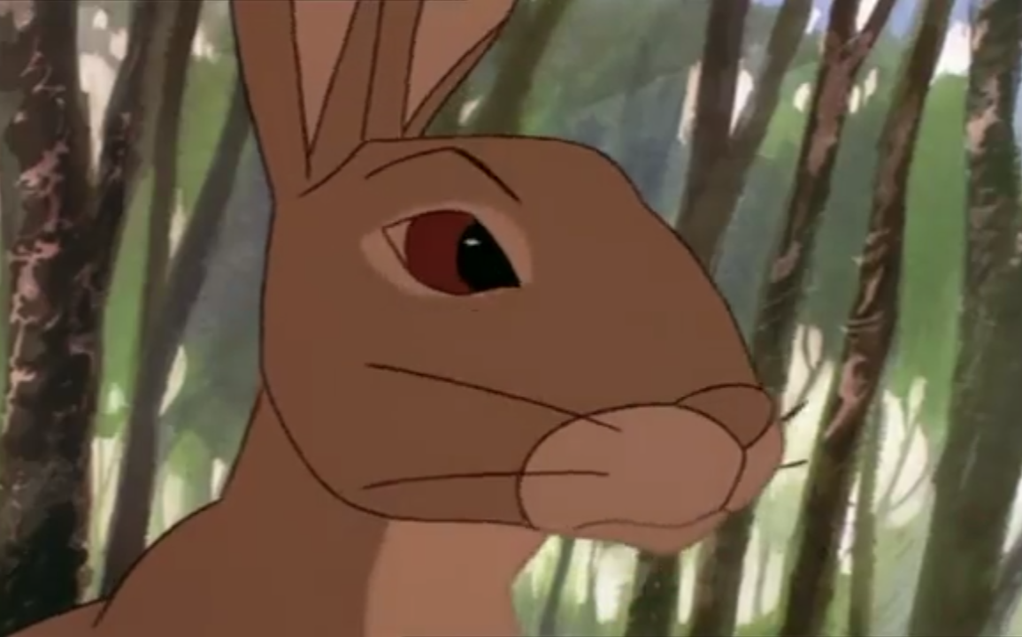 Hazel #8 by DracoTyrannus on DeviantArt