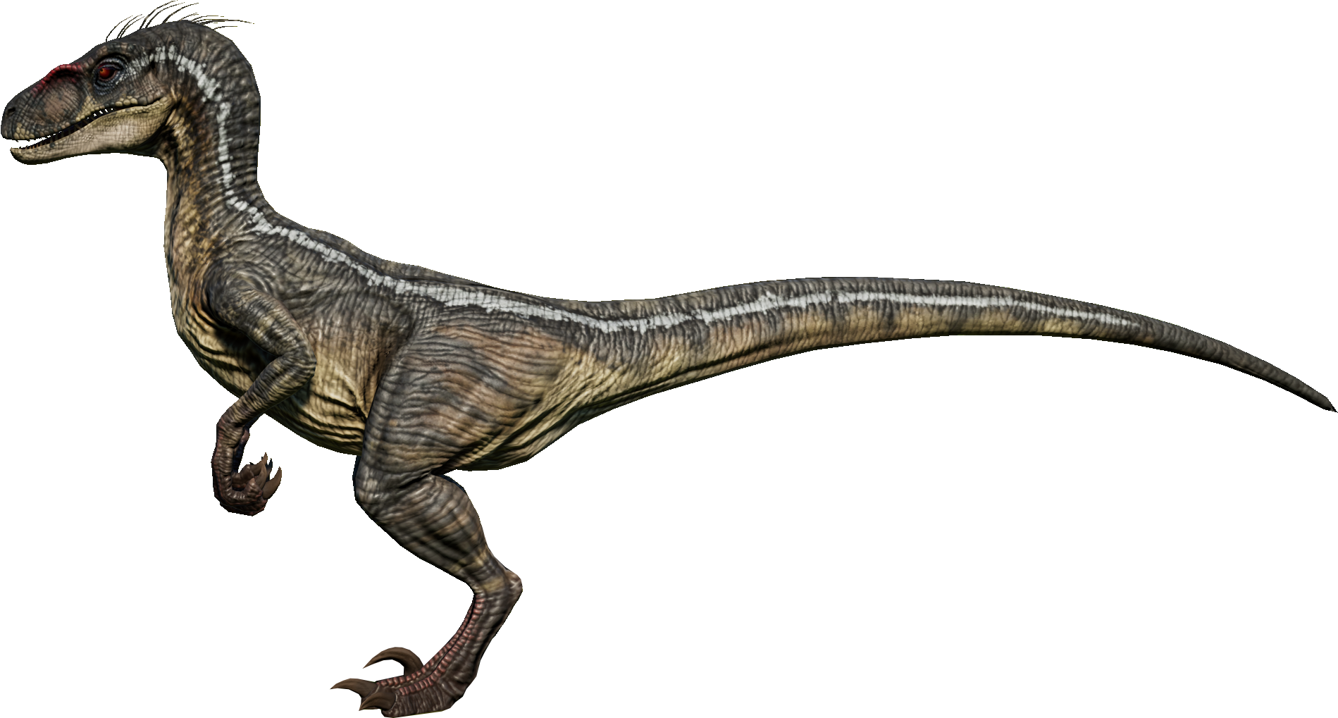 JWE 2001 Male Raptor render by DracoTyrannus on DeviantArt