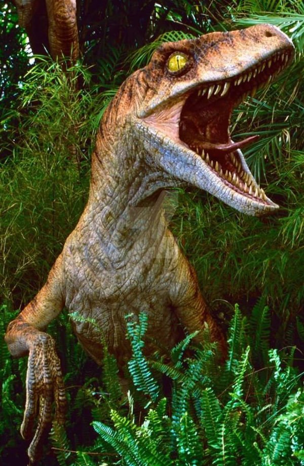 TLW: JP Raptor by DracoTyrannus on DeviantArt