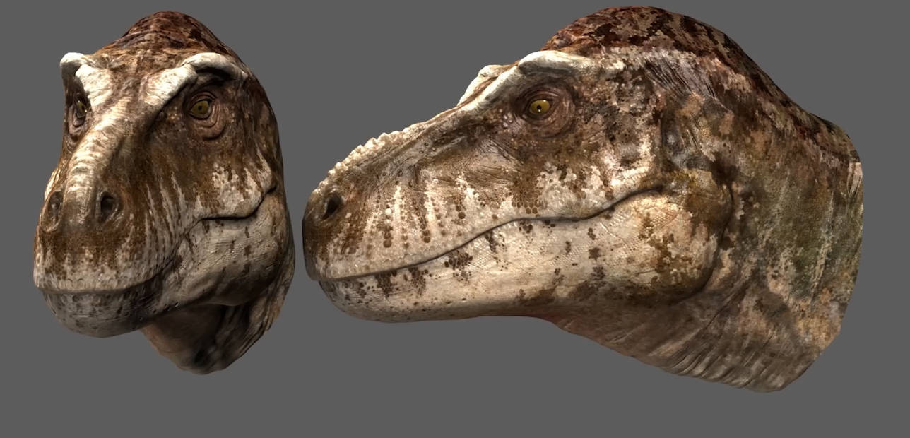 Prehistoric Planet - Tyrannosaurus Rex by DracoTyrannus on DeviantArt