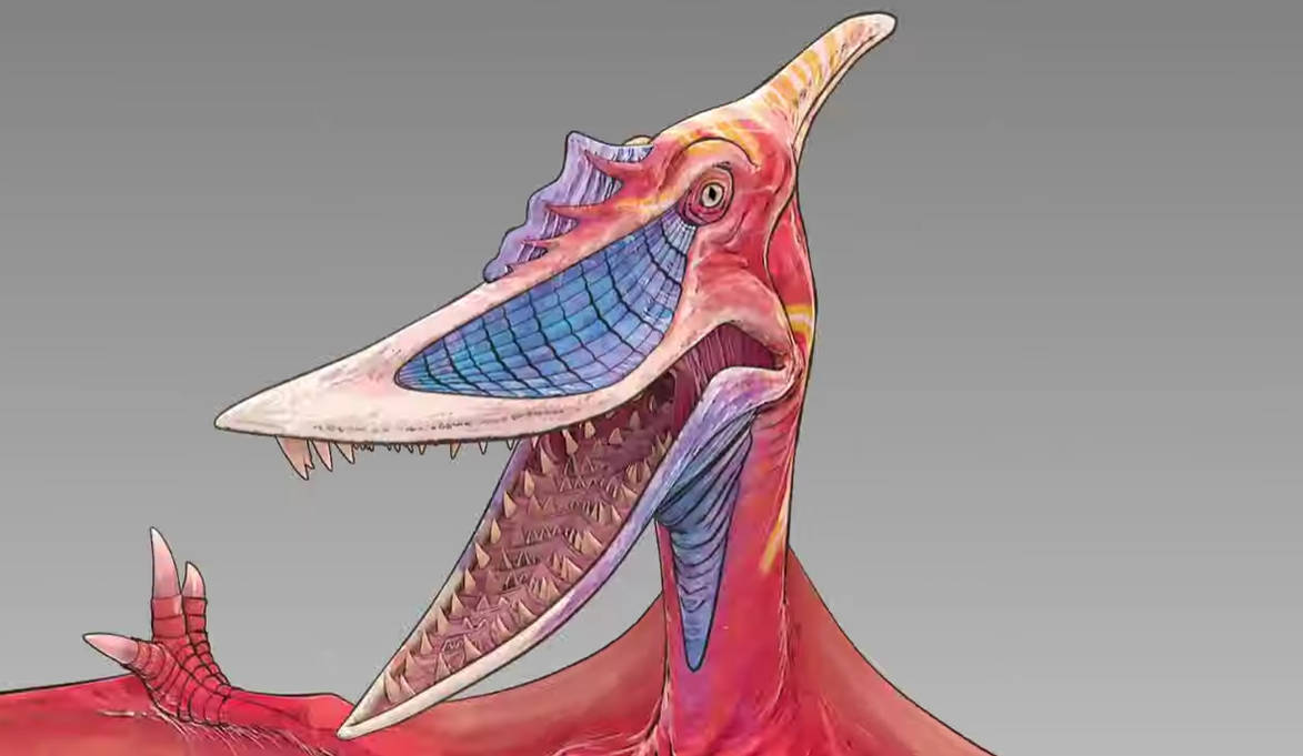 SP Rodan #5 by DracoTyrannus on DeviantArt