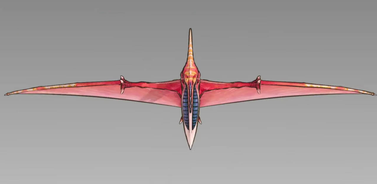 SP Rodan #10 by DracoTyrannus on DeviantArt