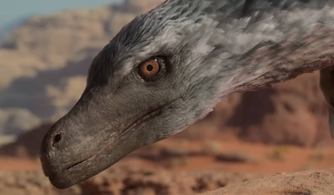 Pv Raptor PP - Velociraptor by DracoTyrannus on DeviantArt