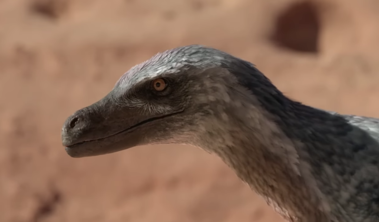 Pv Raptor PP - Velociraptor #3 by DracoTyrannus on DeviantArt