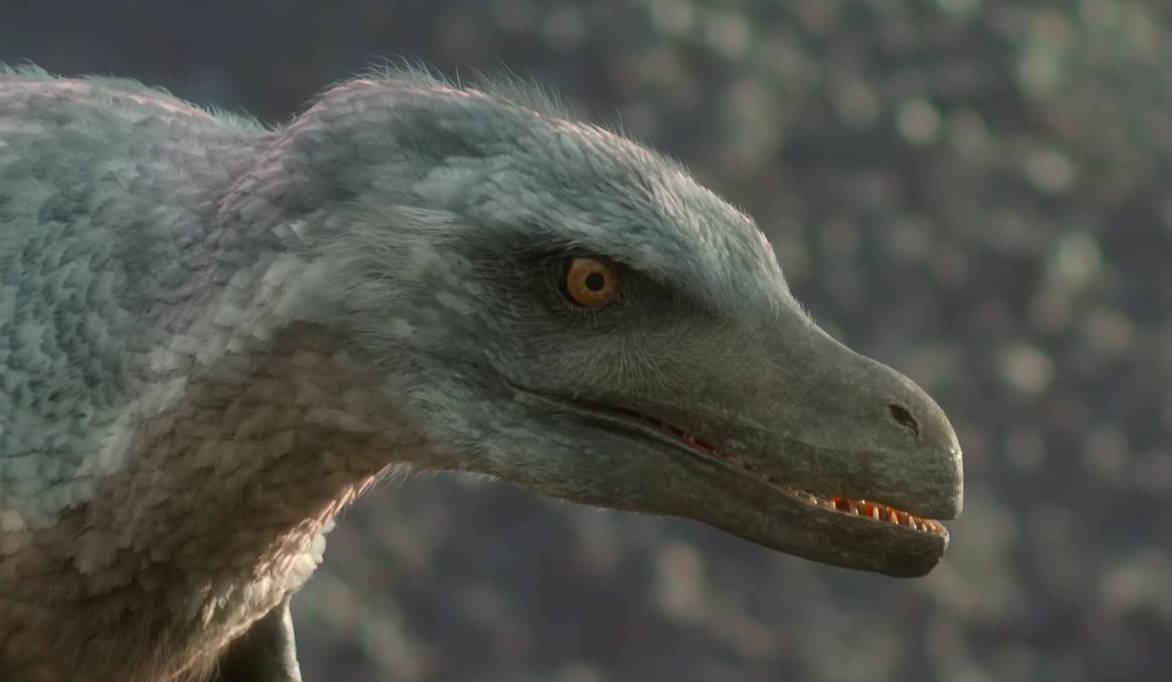 Pv Raptor PP - Velociraptor #4 by DracoTyrannus on DeviantArt