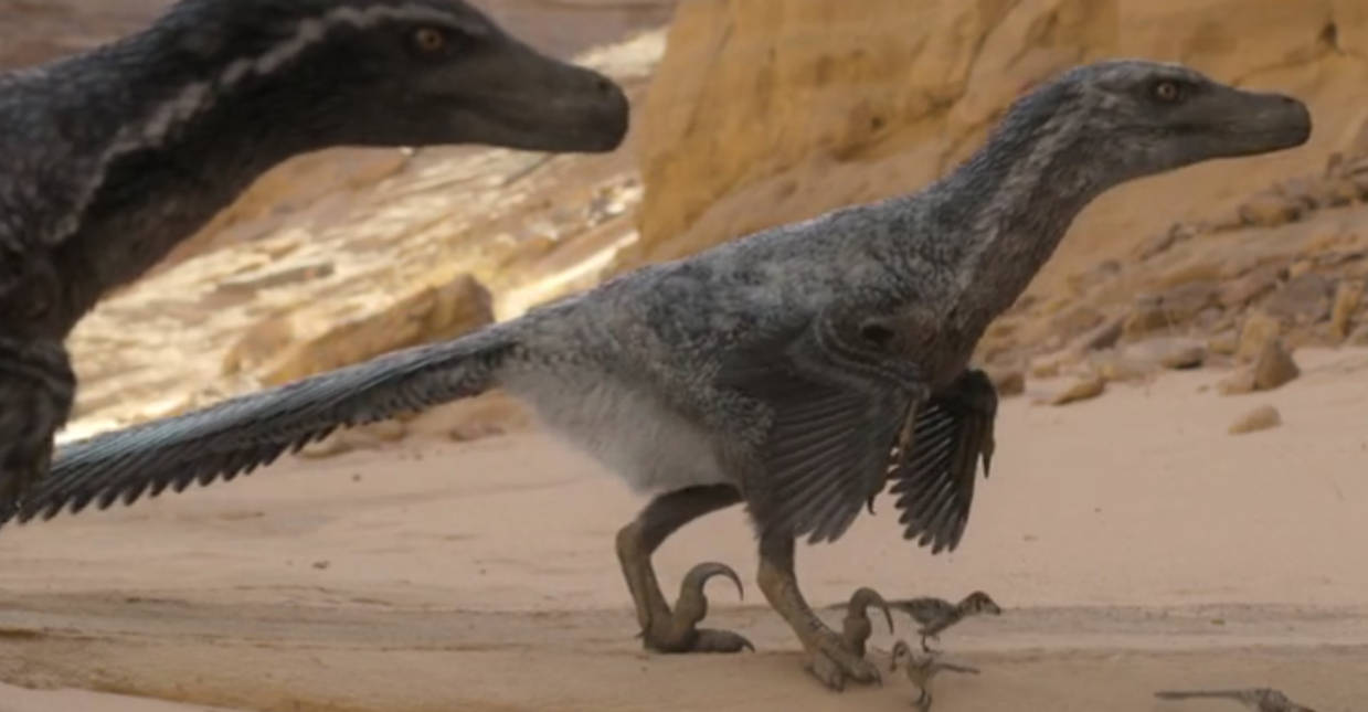Pv Raptor PP - Velociraptor #14 by DracoTyrannus on DeviantArt