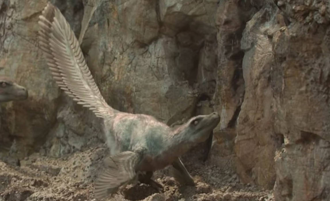 Pv Raptor PP - Velociraptor #18 by DracoTyrannus on DeviantArt