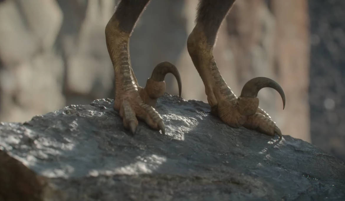 PP - Velociraptor feet by DracoTyrannus on DeviantArt