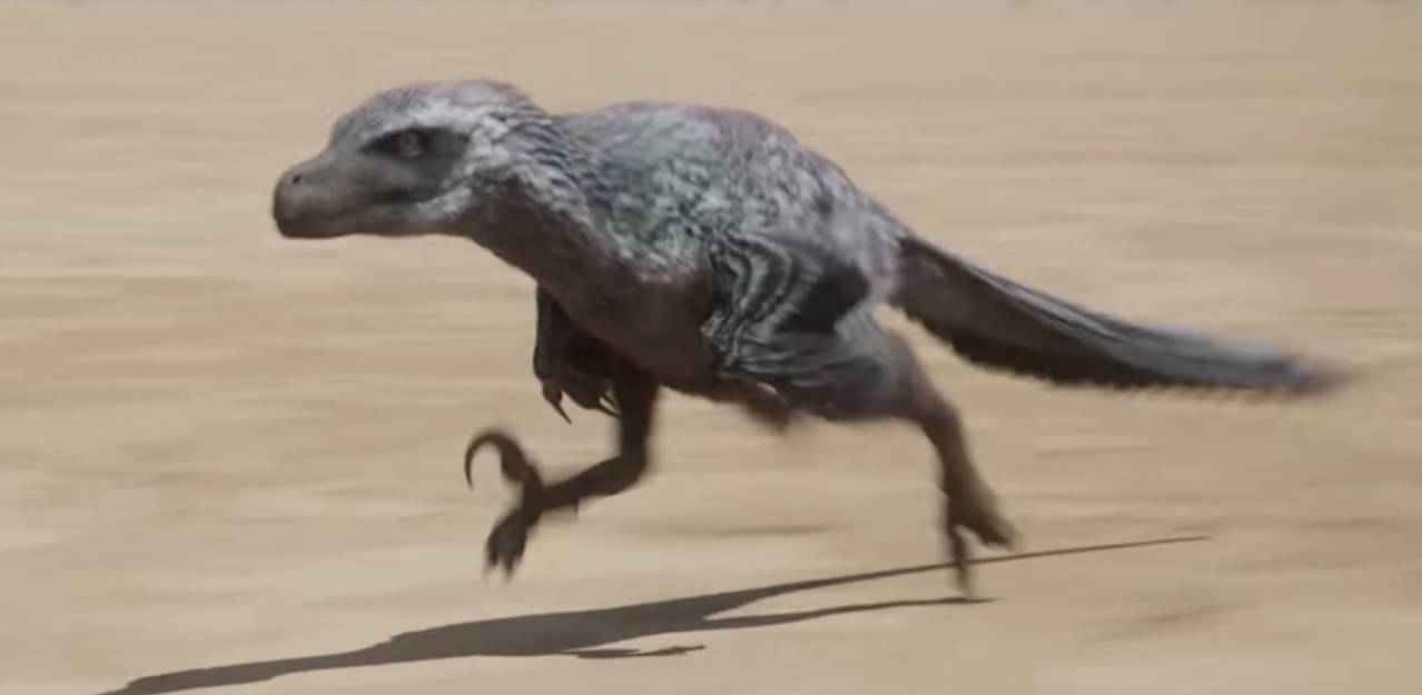 PP - Female Velociraptor by DracoTyrannus on DeviantArt