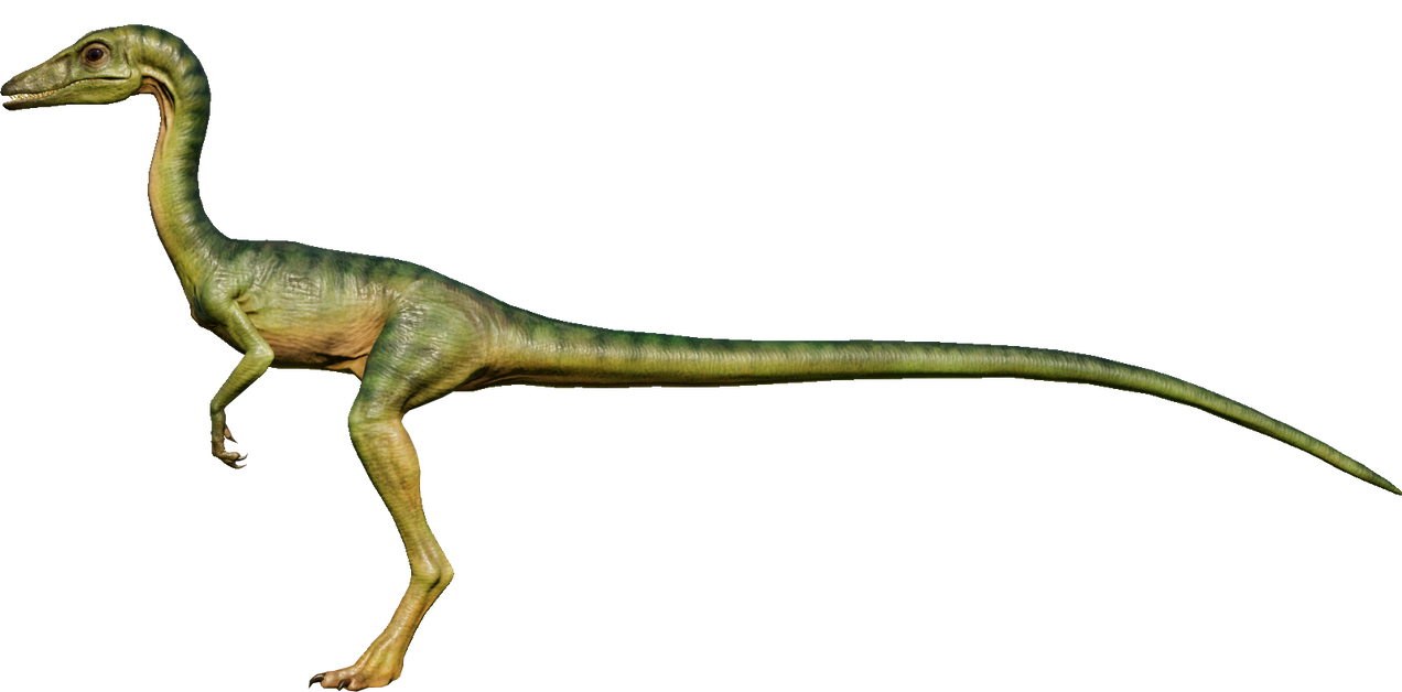 JWE - Compy by DracoTyrannus on DeviantArt