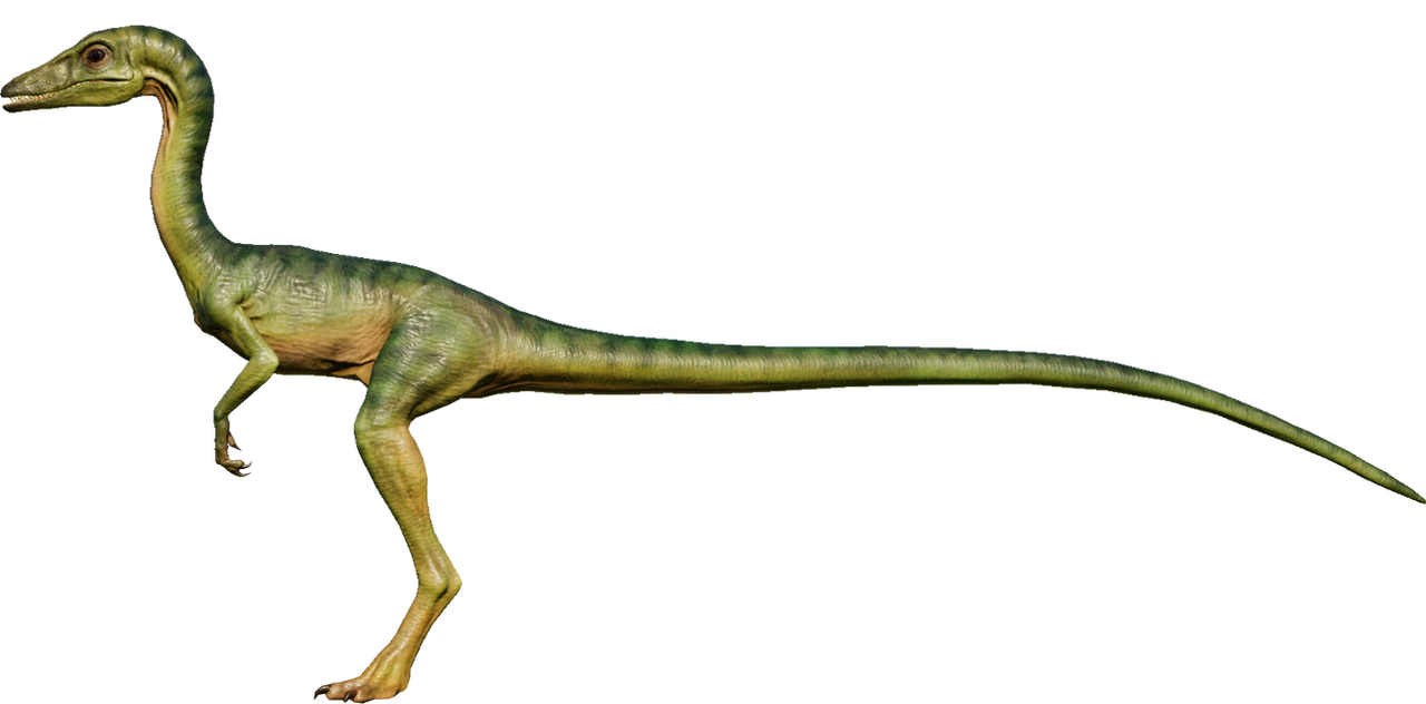 JWE - Compy by DracoTyrannus on DeviantArt