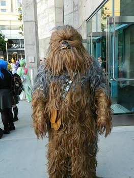 Wookie