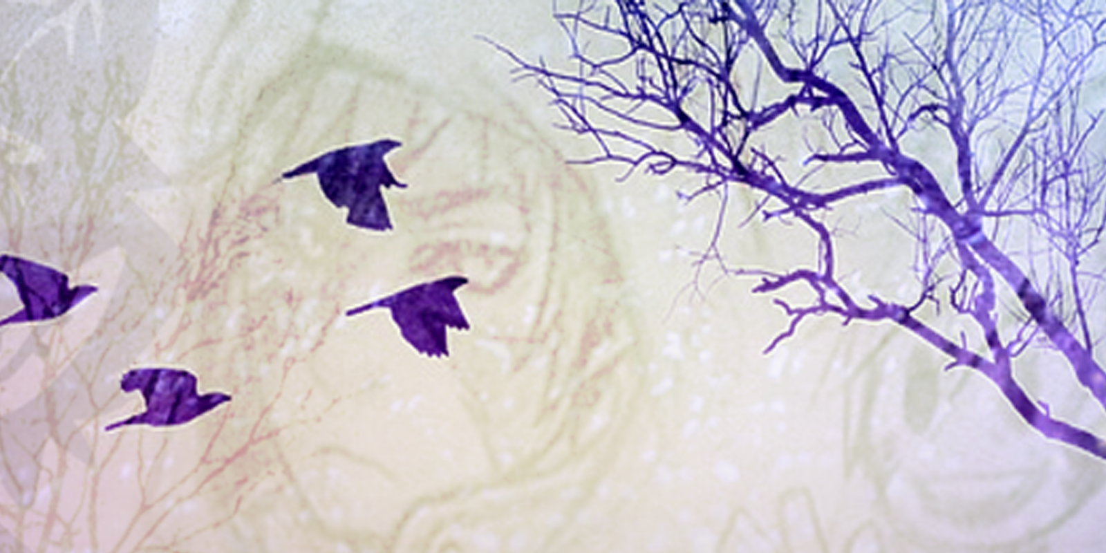 Da Header