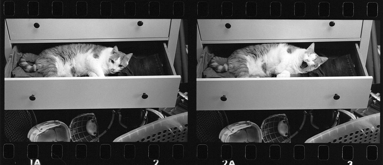 Double Rondo by Bjorlkjurlsdottir on DeviantArt