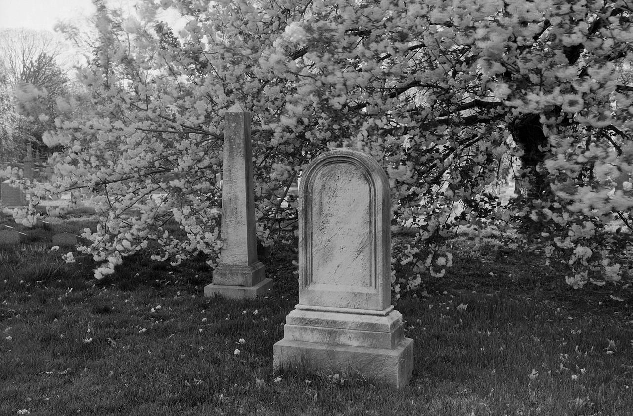 Greenwood Cemetery (neg scan) by Bjorlkjurlsdottir on DeviantArt