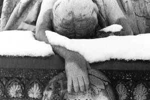 Green-Wood cemetery (neg scan)