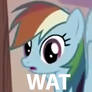 Rainbow Dash Wat Face