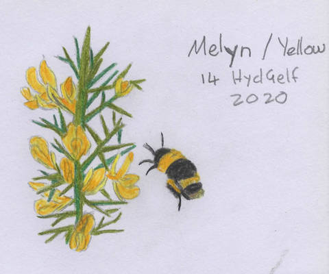 14 Melyn