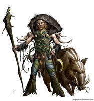 Druid