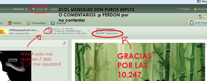 Gracias por las 10 247 visitas