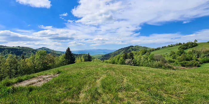 Spring mountains