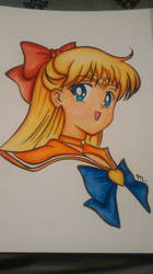 sailor V