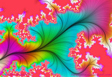 WILD PSYCHEDELIC FLOW