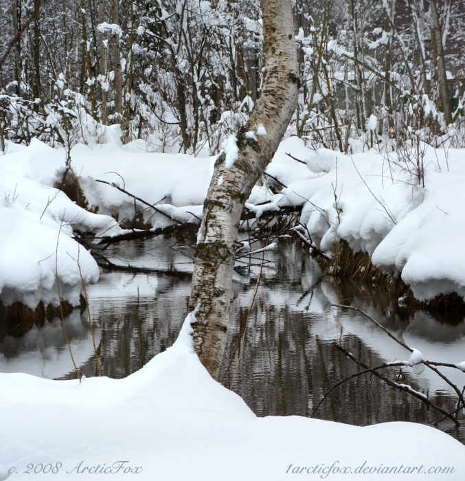 SPRING SNOW REFLECTIONS