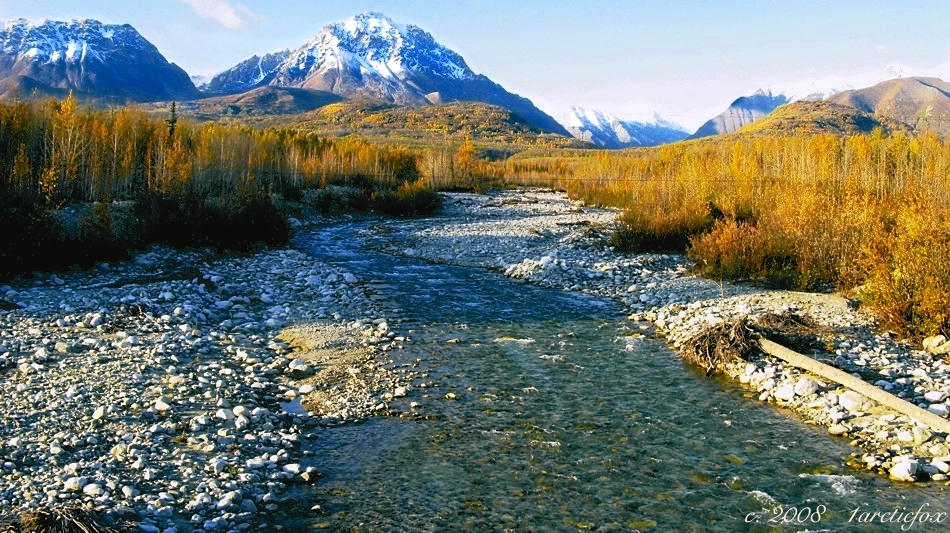 ALASKA'S QUARTZ CREEK IN FALL by 1arcticfox ALASKA'S QUARTZ CREEK IN FALL by 1arcticfox