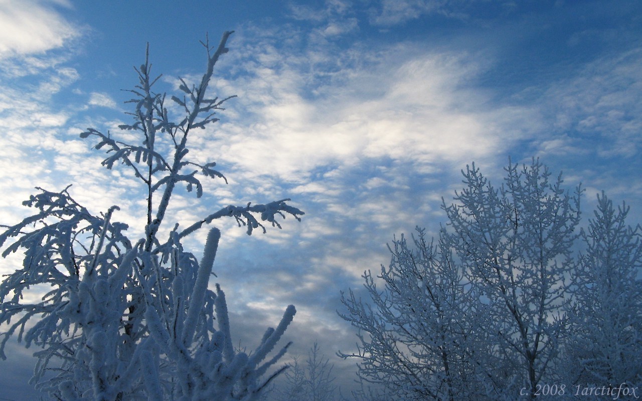 SHEER ICY SERENITY