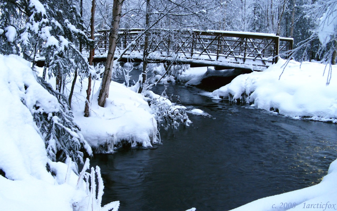 MIRACULOUS WINTER PEACE